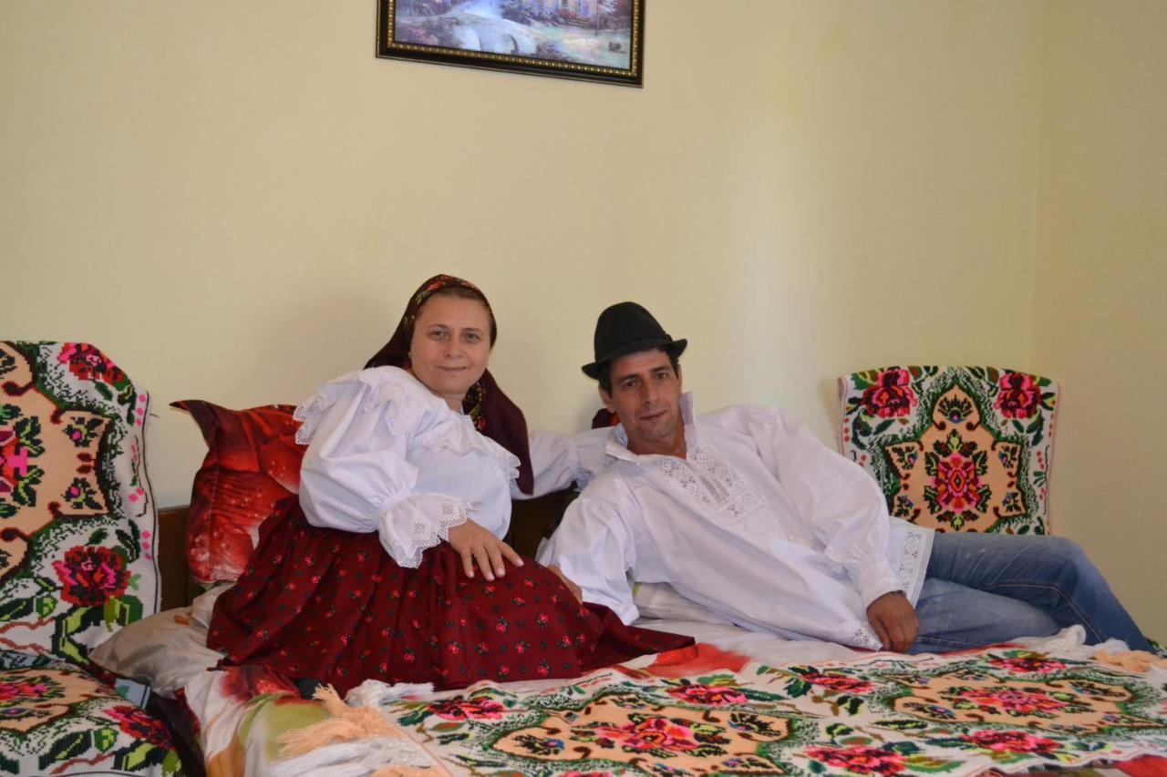 Pensiunea Malinul Bîrsana エクステリア 写真