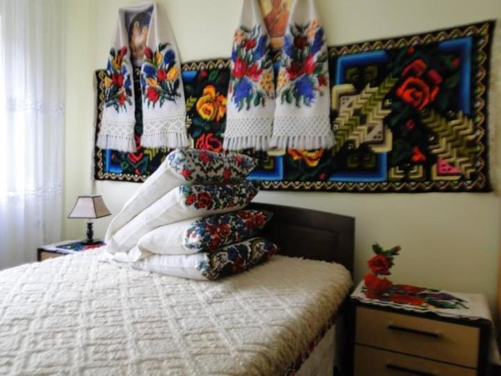 Pensiunea Malinul Bîrsana エクステリア 写真
