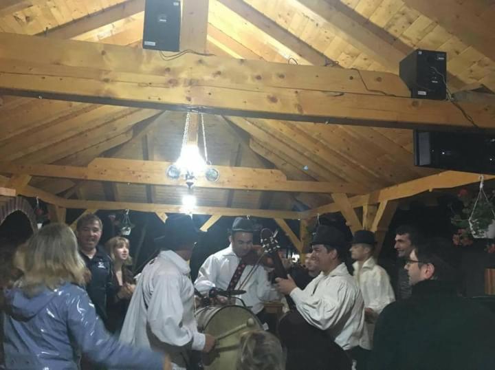 Pensiunea Malinul Bîrsana エクステリア 写真