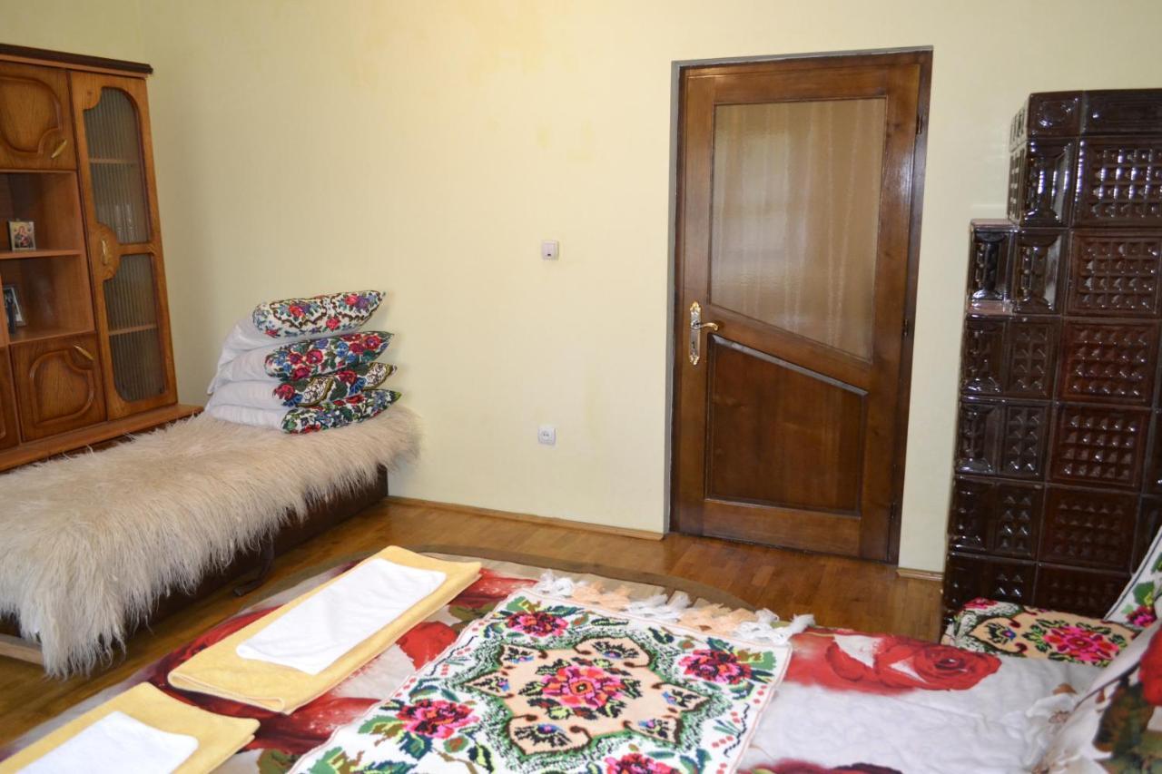 Pensiunea Malinul Bîrsana エクステリア 写真