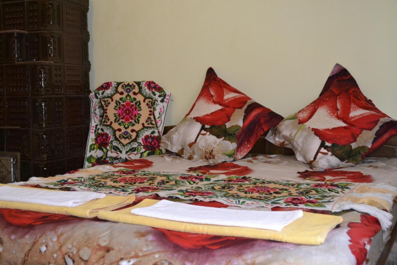 Pensiunea Malinul Bîrsana エクステリア 写真