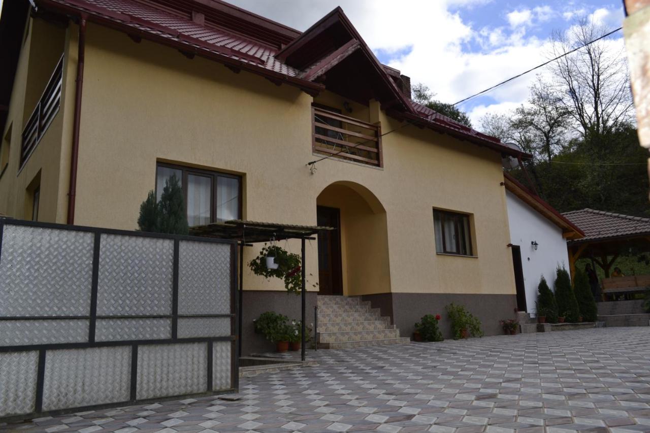 Pensiunea Malinul Bîrsana エクステリア 写真