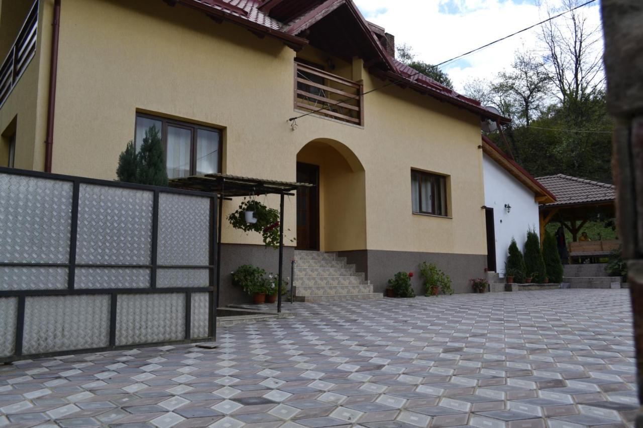 Pensiunea Malinul Bîrsana エクステリア 写真