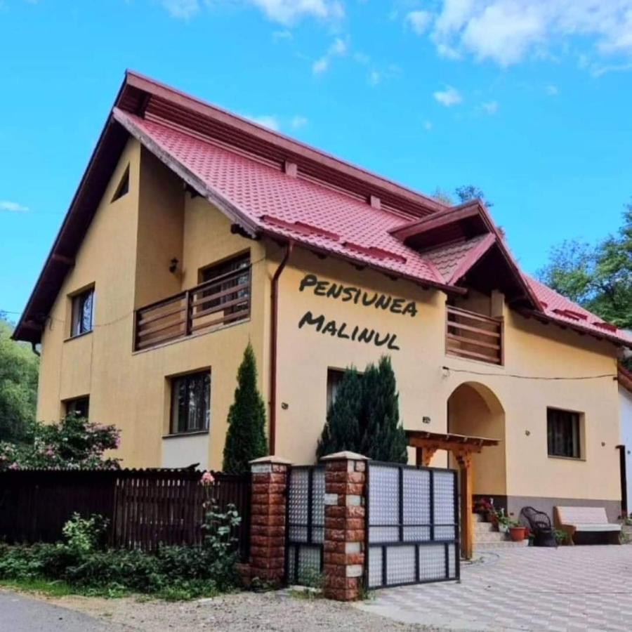 Pensiunea Malinul Bîrsana エクステリア 写真