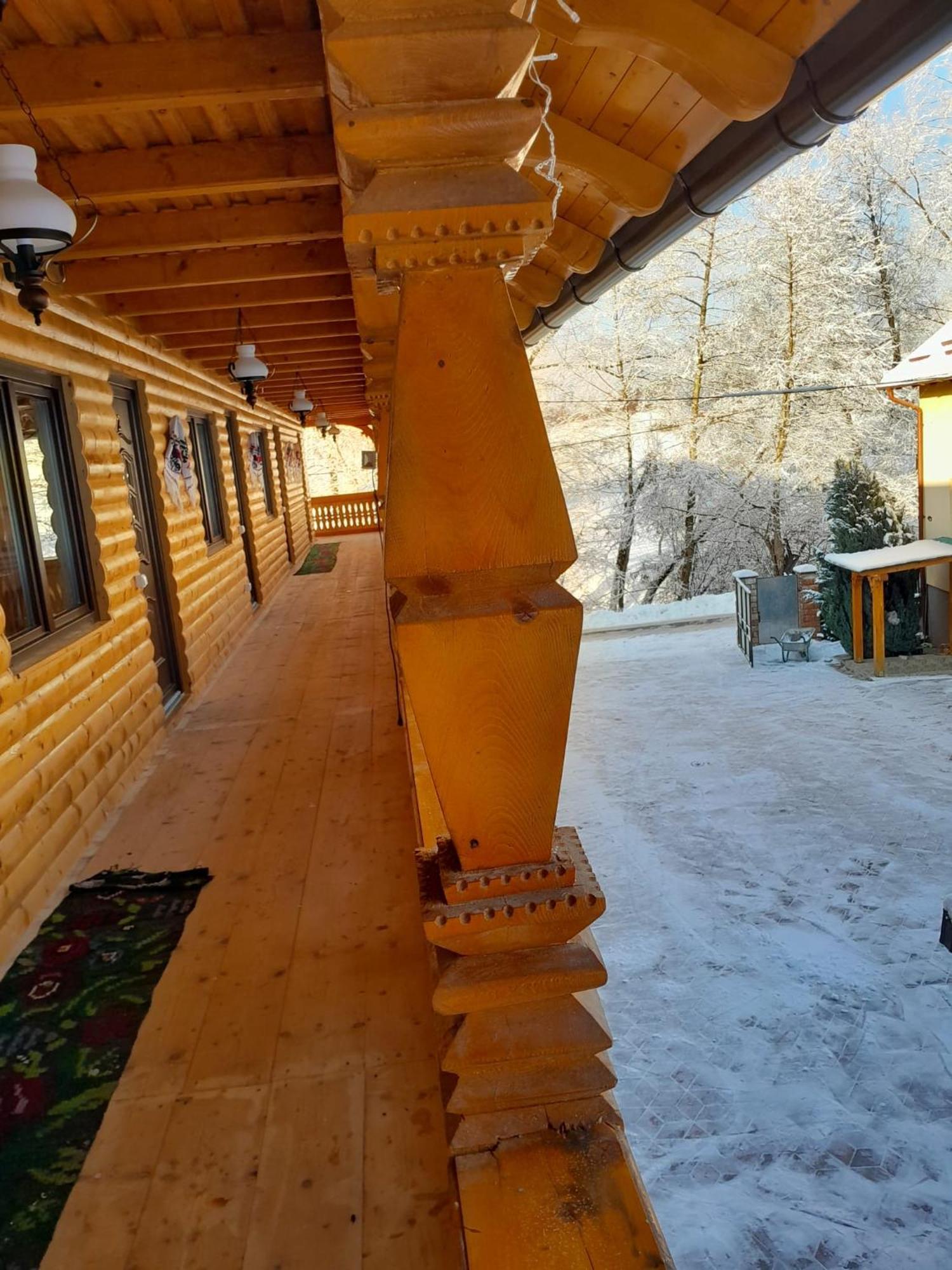 Pensiunea Malinul Bîrsana エクステリア 写真