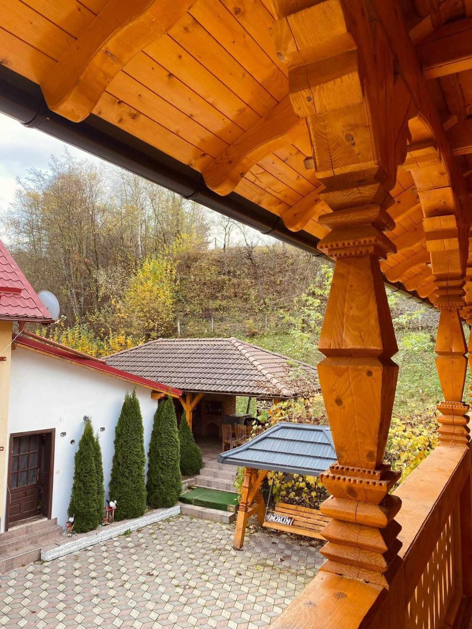 Pensiunea Malinul Bîrsana エクステリア 写真