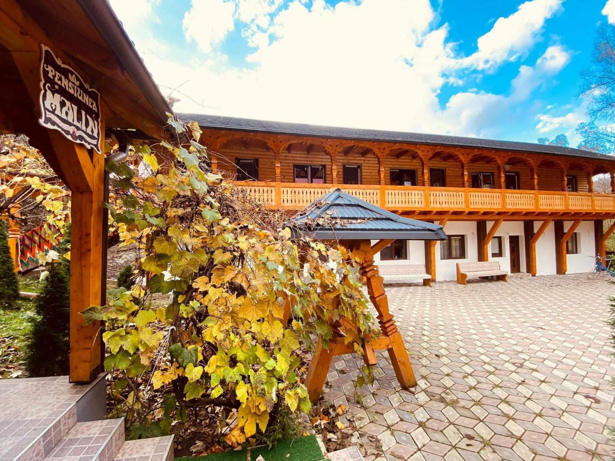 Pensiunea Malinul Bîrsana エクステリア 写真