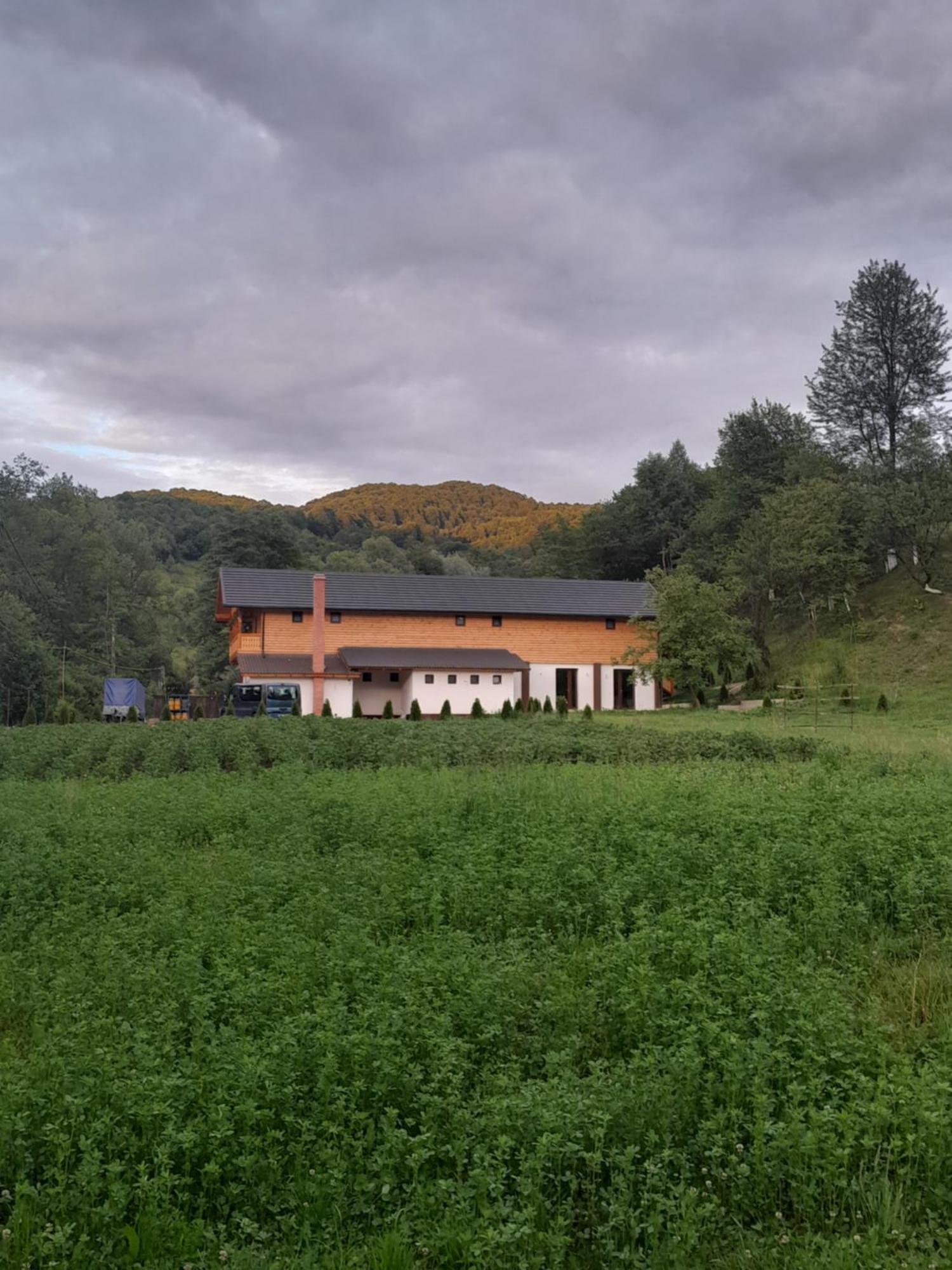 Pensiunea Malinul Bîrsana エクステリア 写真